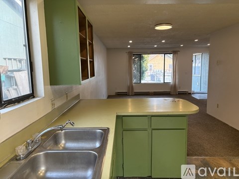 A kitchen with green cabinets and a sink.