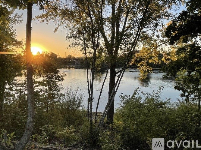 A beautiful sunset view with trees and a lake.