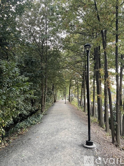 A pathway in a park with trees on both sides and lamp posts along the way.