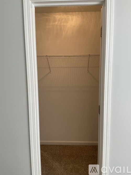 A white closet with a carpeted floor and a white door.