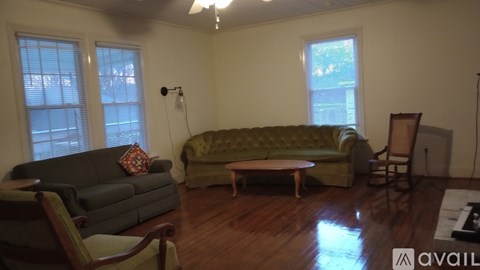 A living room with a green couch and a wooden floor.