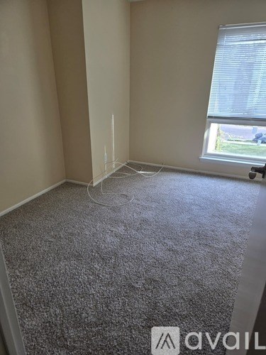 A carpeted room with a window and a white wall.