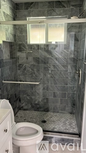 A bathroom with a toilet and a walk in shower.