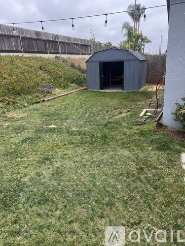 A backyard with a shed and a lawn.