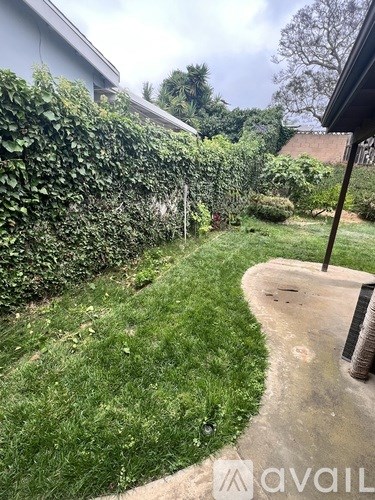 A garden with a concrete path and a hedge.