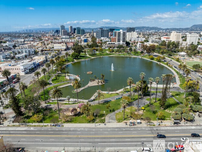 A large lake surrounded by palm trees and buildings in the distance.