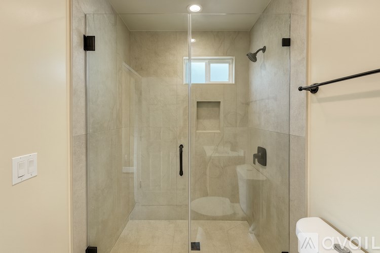 A modern bathroom with a walk-in shower and a toilet.