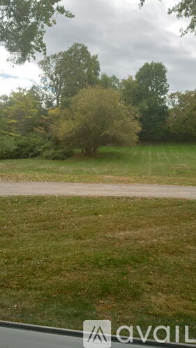 A grassy field with a tree in the distance.