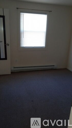 A room with a window and a carpet on the floor.