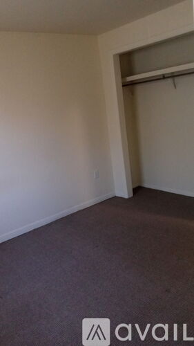 A room with a carpeted floor and a closet with a white door.