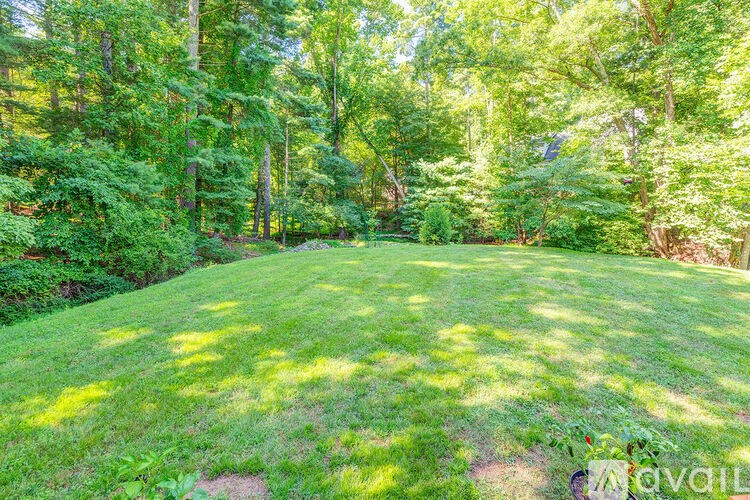 A lush green lawn surrounded by trees.