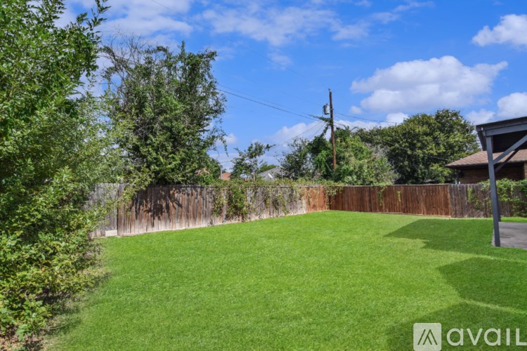 A backyard with a fence and trees.