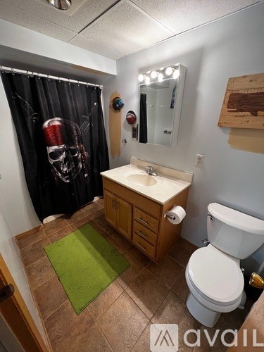A bathroom with a toilet, sink, and a shower curtain with a skull on it.