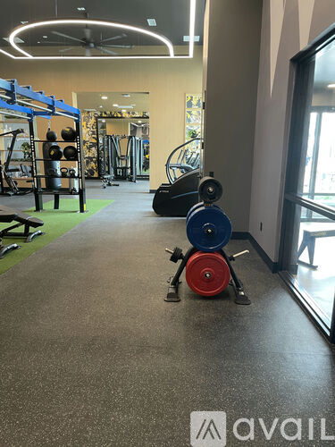 A gym with a weight rack and a fan.