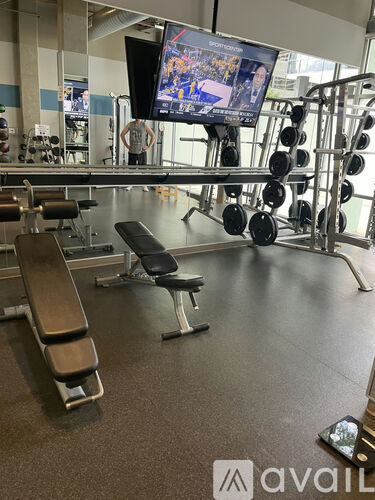 A gym with a bench, weights, and a television.