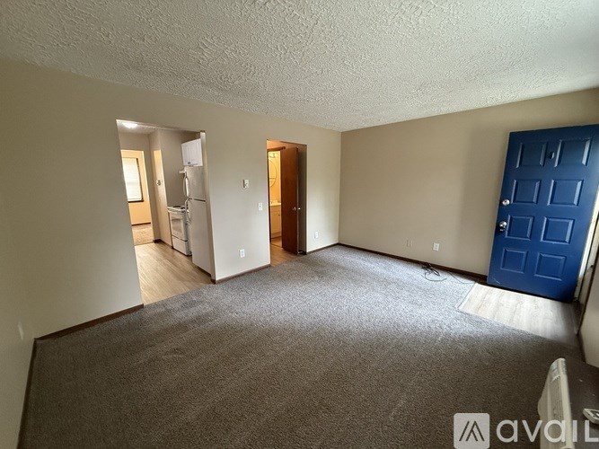 A room with a blue door and a carpeted floor.