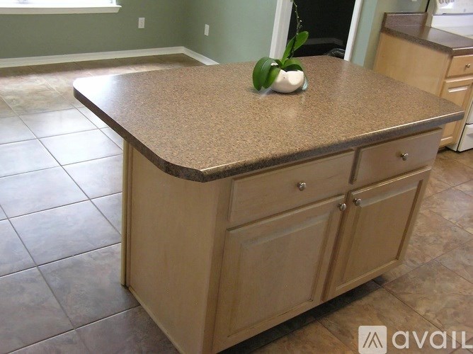 A kitchen island with a plant on top.