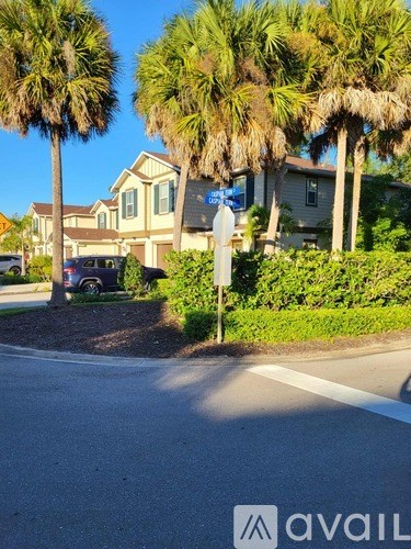 A street view with palm trees and a house with a sign that says "Avail".