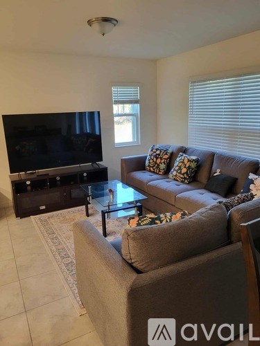 A living room with a grey couch and a television.