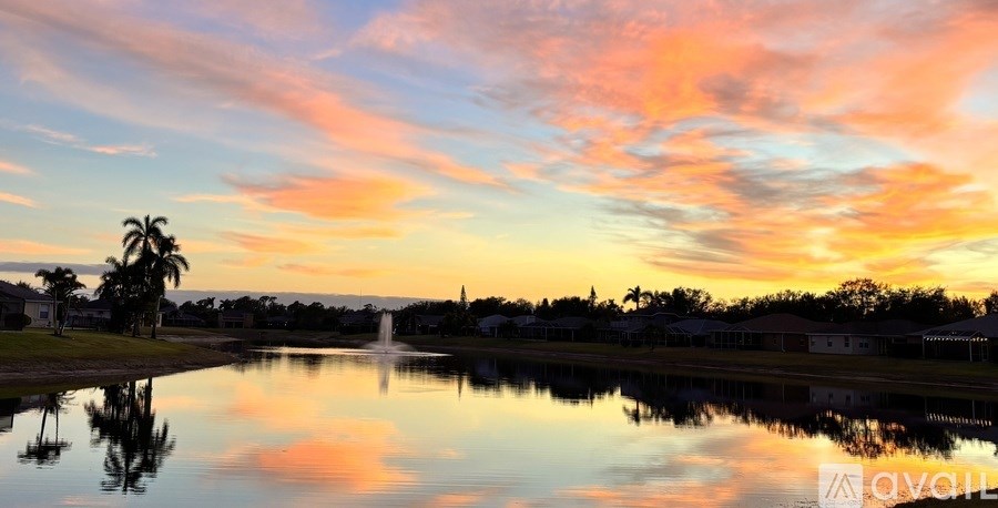 A serene landscape with a lake, palm trees, and a sunset.