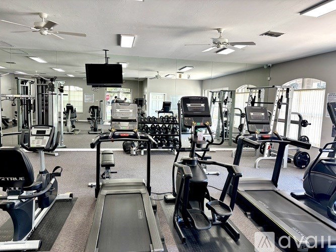 A gym with treadmills, elliptical machines, and other exercise equipment.