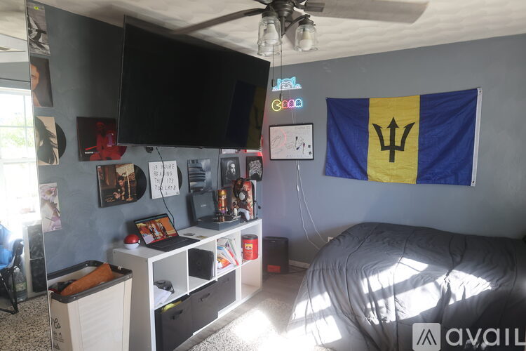 A room with a ceiling fan, a TV, a flag, and a bed.