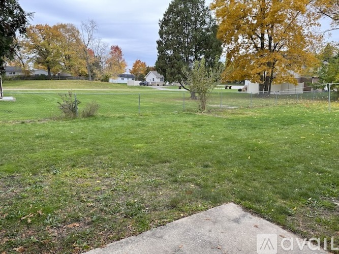 A grassy field with a small tree and a fence in the background.