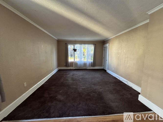 A room with a carpeted floor and a window letting in natural light.