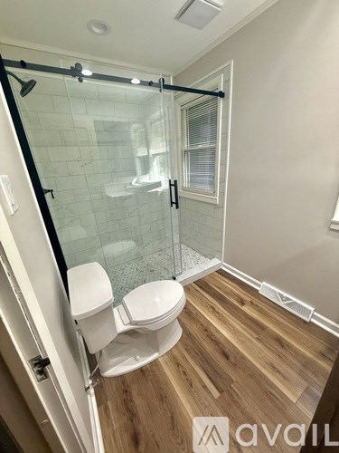 A bathroom with a toilet and a walk-in shower.