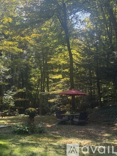A red umbrella is in the middle of a forest.