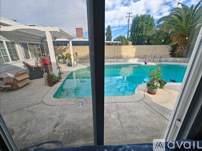 A pool in a backyard with a house and palm tree in the background.