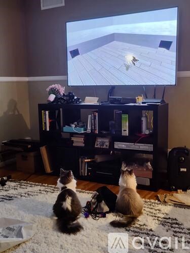 Two cats sitting on a rug in front of a television.