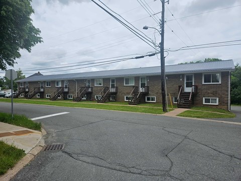 A row of houses with a grey sky above.