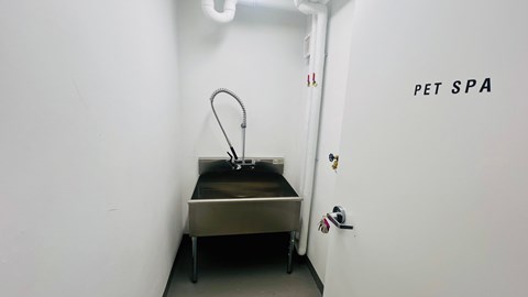 A Pet Spa sign is on the wall above a sink.