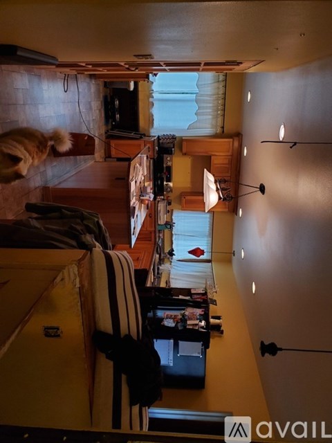 A dog is in the foreground of a room with a striped couch and a TV.