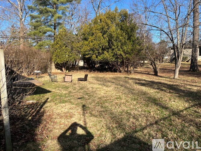 A backyard with a fence and trees.