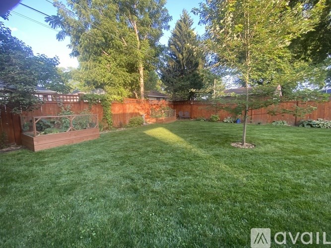 A backyard with a fence and a tree.