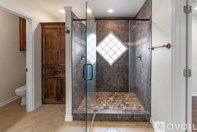 A bathroom with a walk-in shower and a toilet.