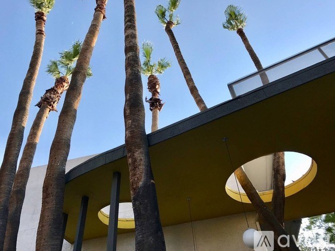 Palm trees are seen in front of a building.