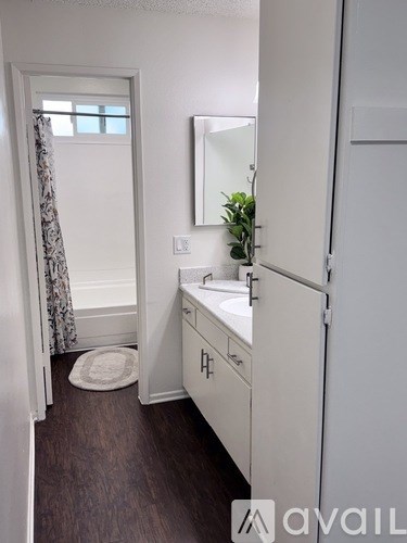 A bathroom with a sink, mirror, and a plant.