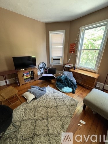 A living room with a television, a couch, and a rug.
