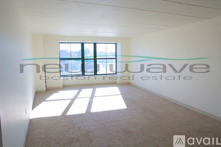 A room with a window and a carpeted floor.