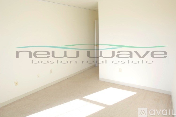 A room with a white wall and a window letting in sunlight.