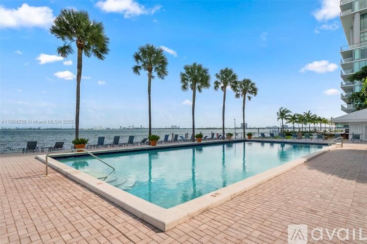 A pool surrounded by palm trees and chairs.