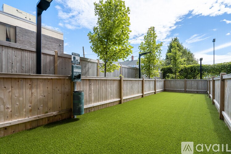 A backyard with a green lawn and wooden fence.