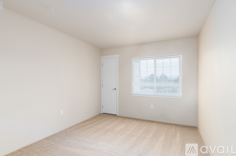 A room with a door and a window with a view of trees.