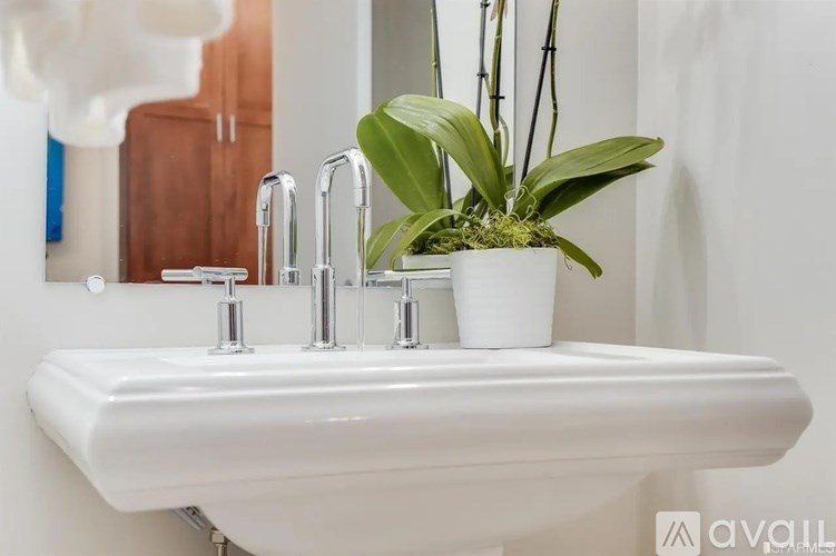 A white sink with a potted plant on top of it.