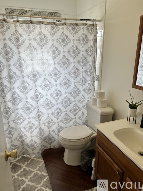 A bathroom with a toilet, sink, and shower curtain.