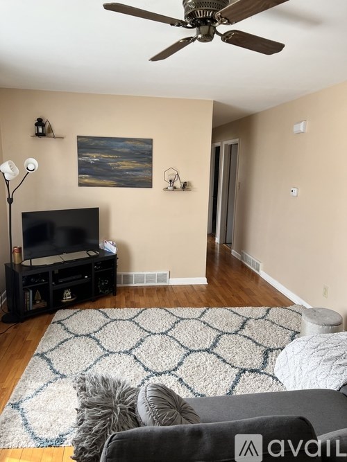 A living room with a television, a rug, and a ceiling fan.