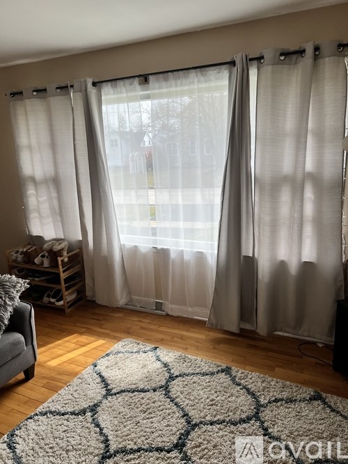 A room with a grey sofa, a blue and white rug, and a window with sheer curtains.